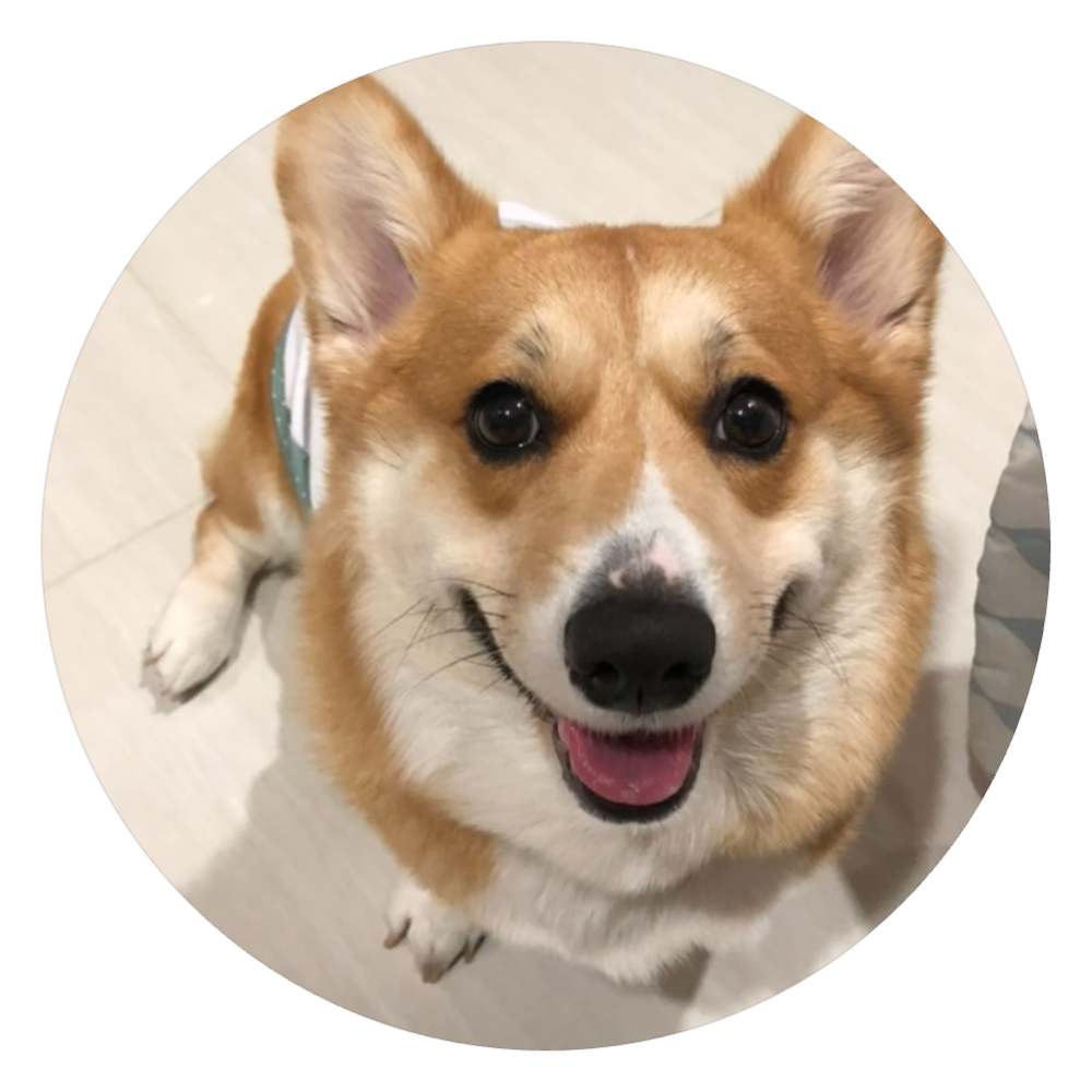 Brenna, the couple's dog